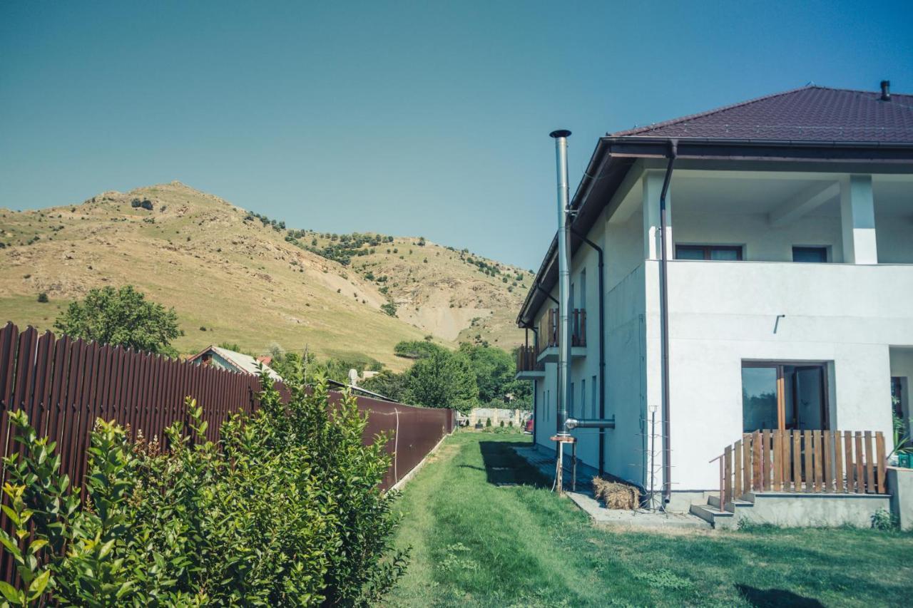 Pensiunea La Nenea Iancu Greci Εξωτερικό φωτογραφία
