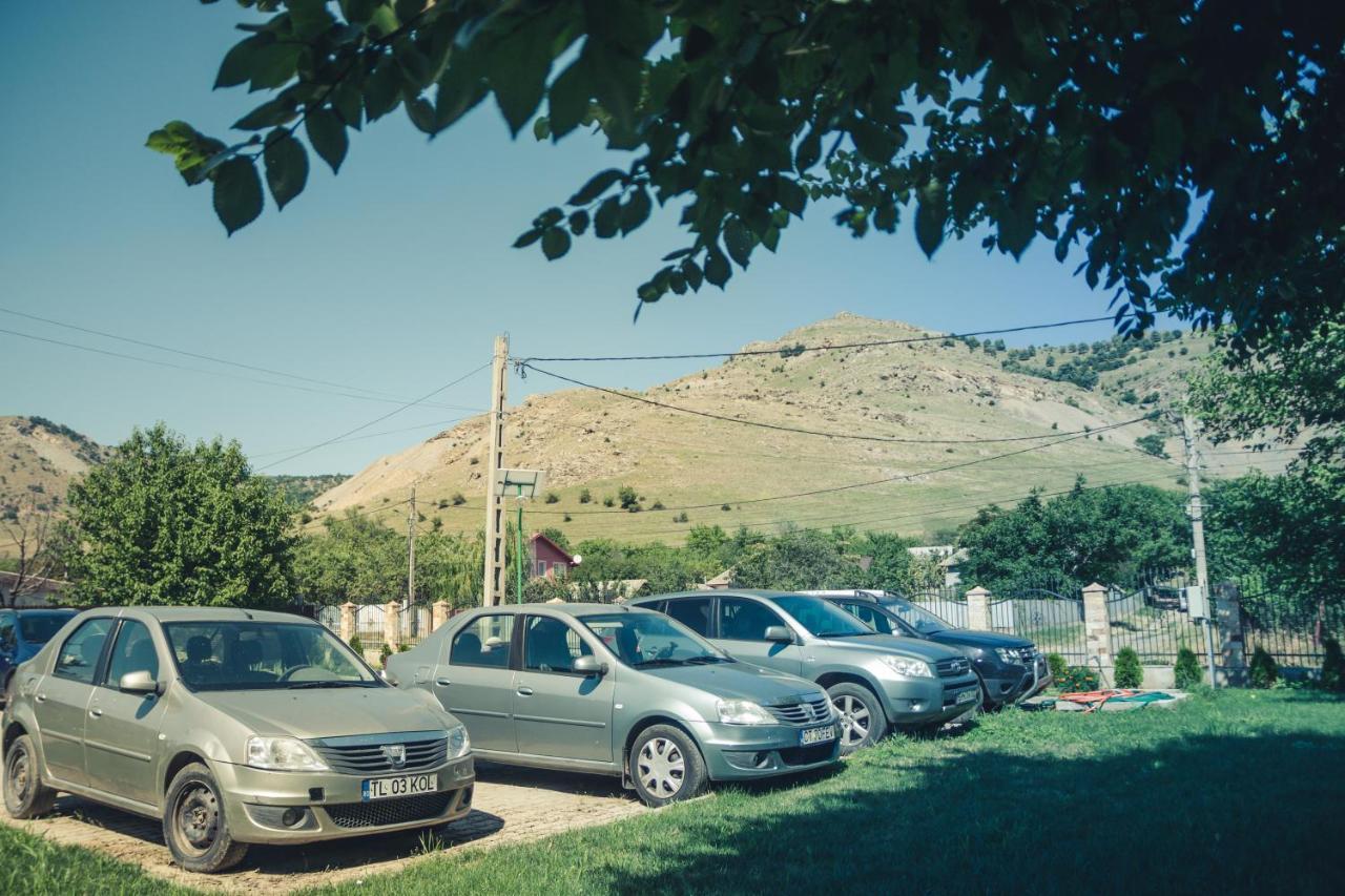 Pensiunea La Nenea Iancu Greci Εξωτερικό φωτογραφία